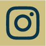 Gold and blue Instagram social media icon